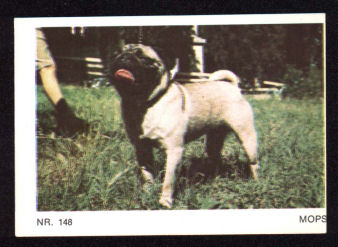 http://www.atlasdogs.com/Card/Bilder/Pug%2068.jpg